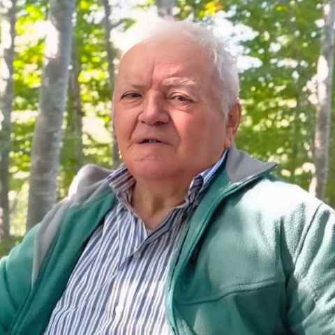 Immagine per Desiderio Miotello